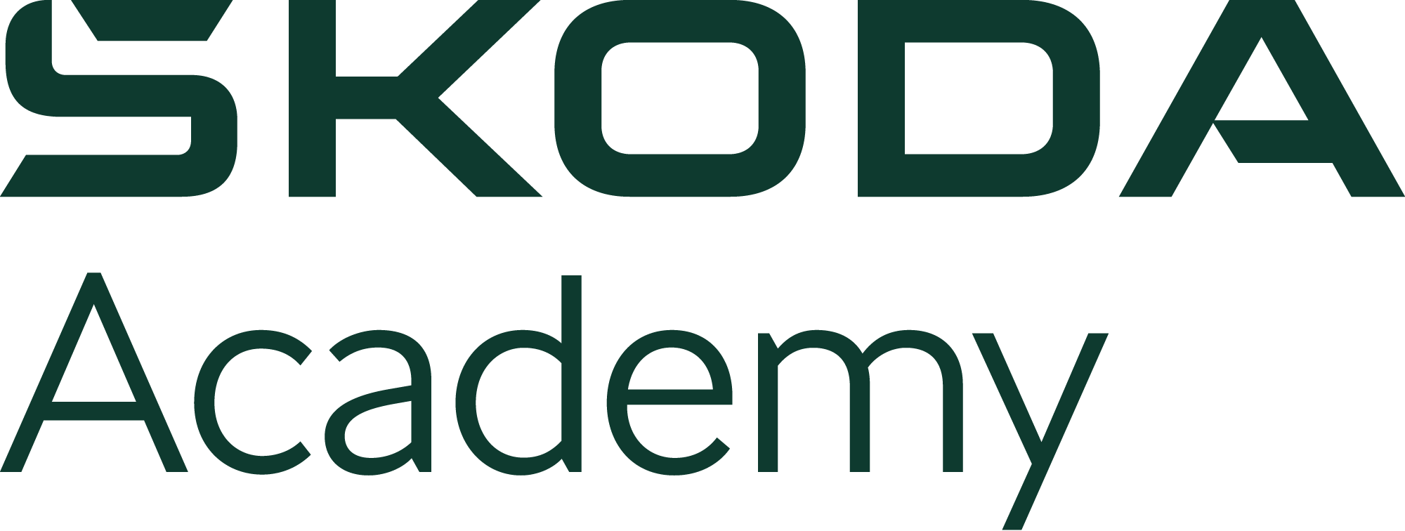 logo_boleslav
